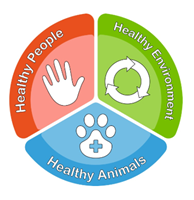 One Health System: Healthy People + Healthy Environment + Healthy Animals